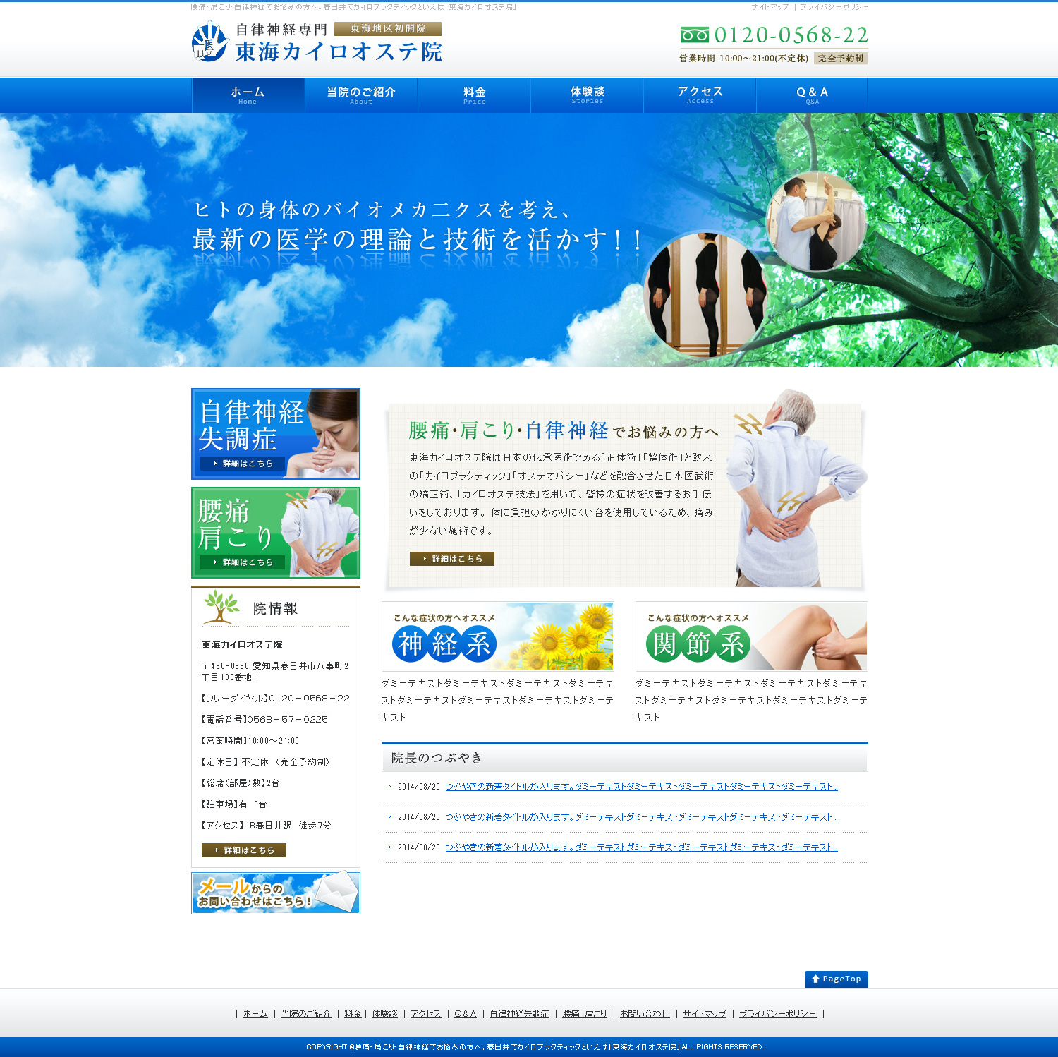 Tokai chirooste clinic webpage image